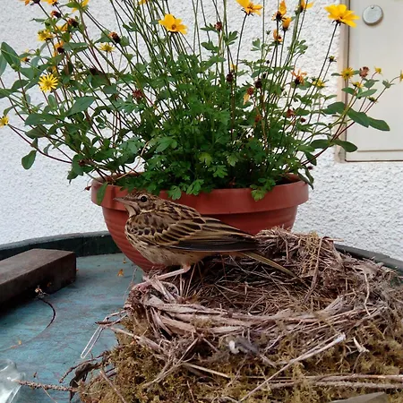 Turisticna Kmetija Kosir * Kranjska Gora