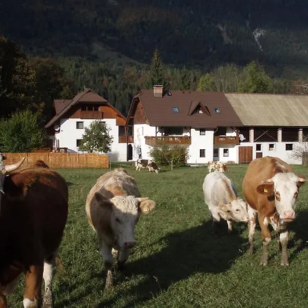 Turisticna Kmetija Kosir *