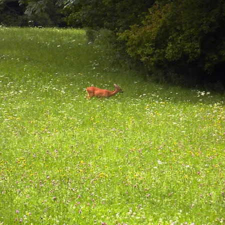 Smještaj na farmi Turisticna Kmetija Kosir *
