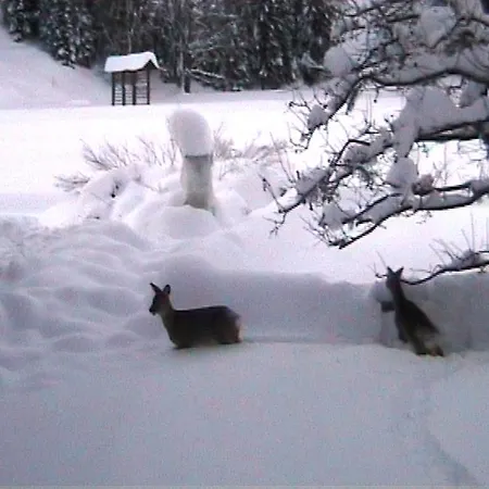 Turisticna Kmetija Kosir * 크라니스카고라