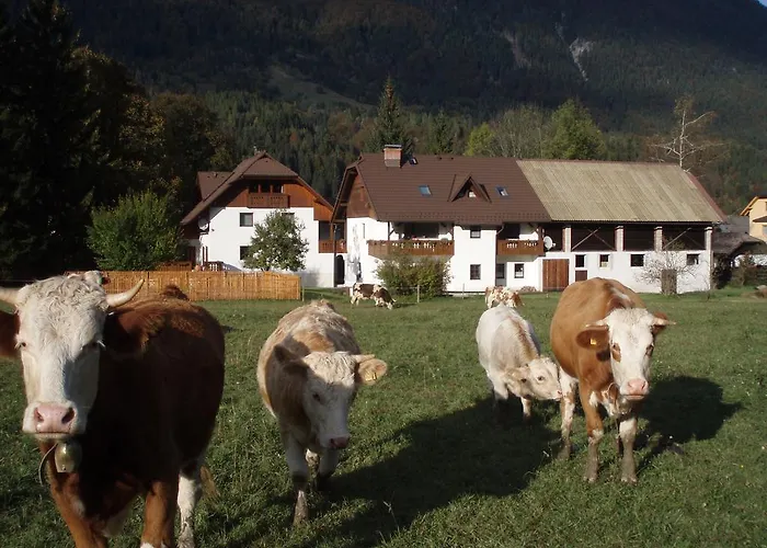 Turisticna Kmetija Kosir *