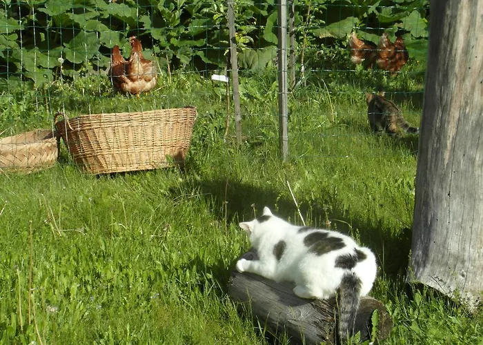 Turisticna Kmetija Kosir Farmház