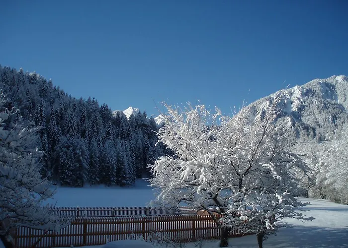 Bivanje na kmetiji Turisticna Kmetija Kosir Kranjska Gora