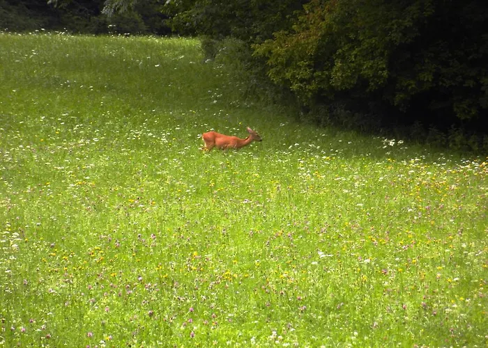 Bivanje na kmetiji Turisticna Kmetija Kosir *