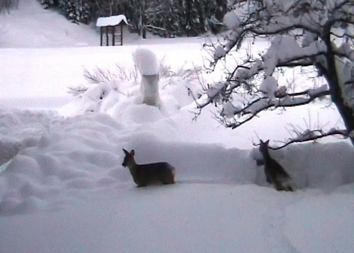 Turisticna Kmetija Kosir * Kranjska Gora